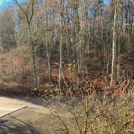 Gast- Und Logierhaus 3* Warenthin