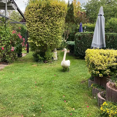 Gast- Und Logierhaus Guest house Warenthin